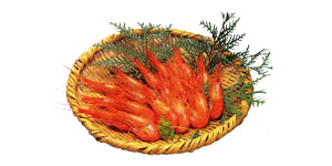 ホッカイシマエビ