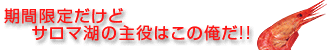 タイトル画像