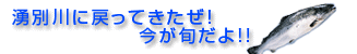 タイトル画像