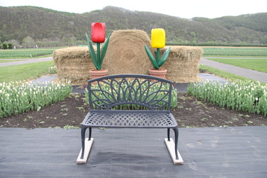 フォトスポット