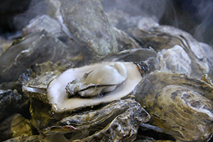牡蠣の画像
