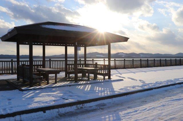 サギ沼原生花園