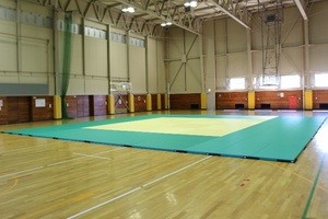 柔道用たたみ