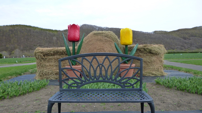 チューリップオブジェ