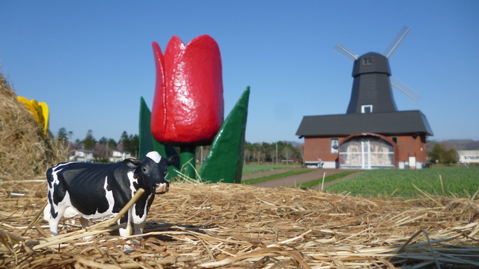 チューリップオブジェ