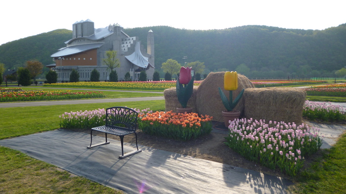 チューリップ公園